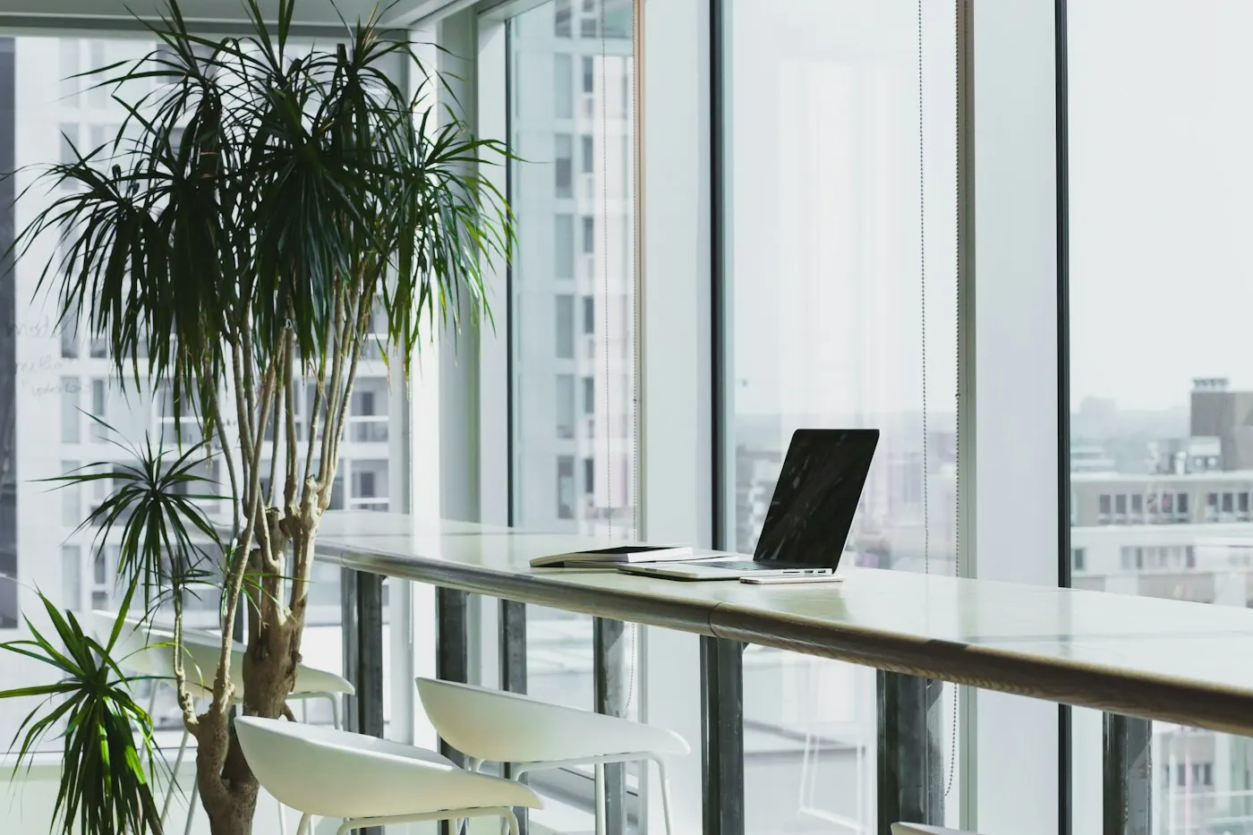 A bright workspace with greenery and generous daylight